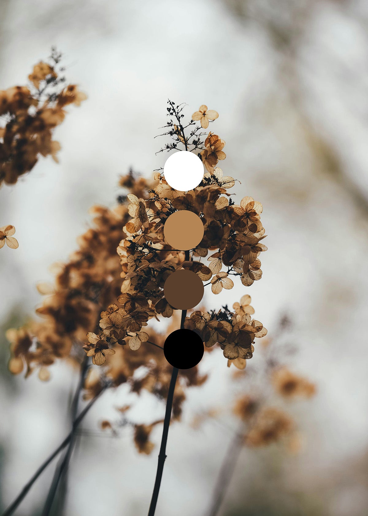 Fall